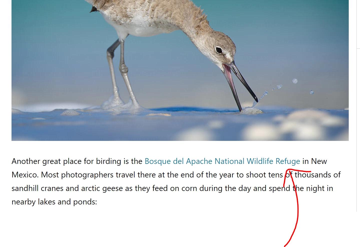 Whenever you see blue text on a website that when you click on, takes you to another website. That is a back-link.