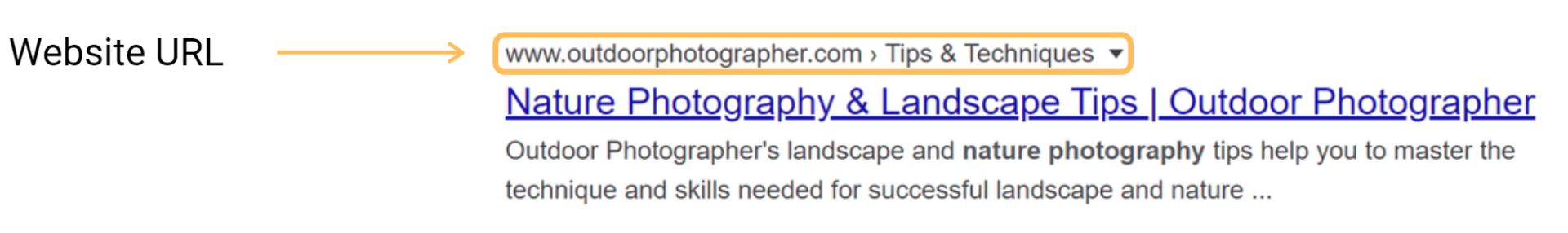 Website URL example