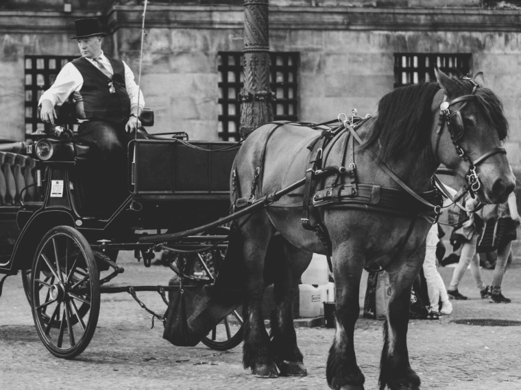 Man in a horse carriage.