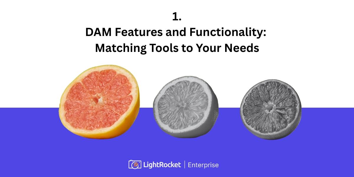 Three citrus fruits with a caption that says: DAM Features and Functionality: Matching Tools to Your Needs