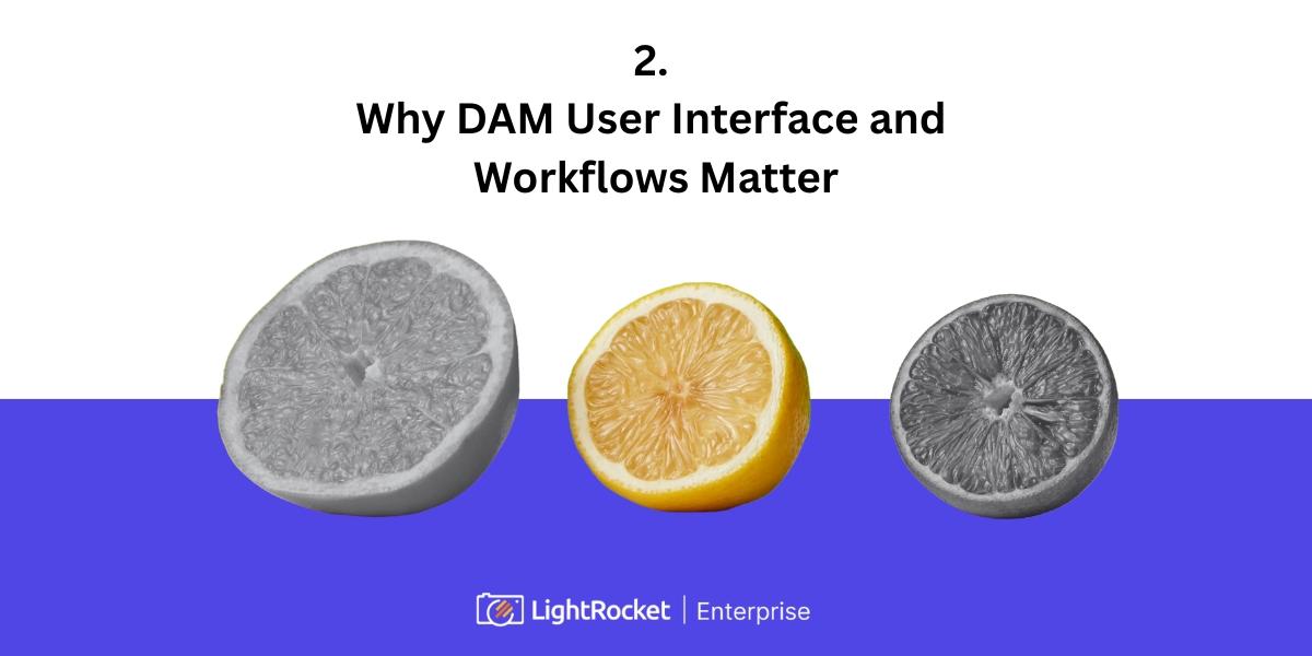 Three citrus fruits with a caption that says: Why DAM User Interface and Workflows Matter