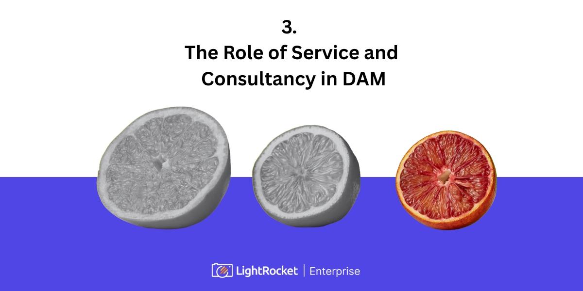 Three citrus fruits with a caption that says: The Role of Service and Consultancy in DAM