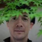 Yvan Cohen