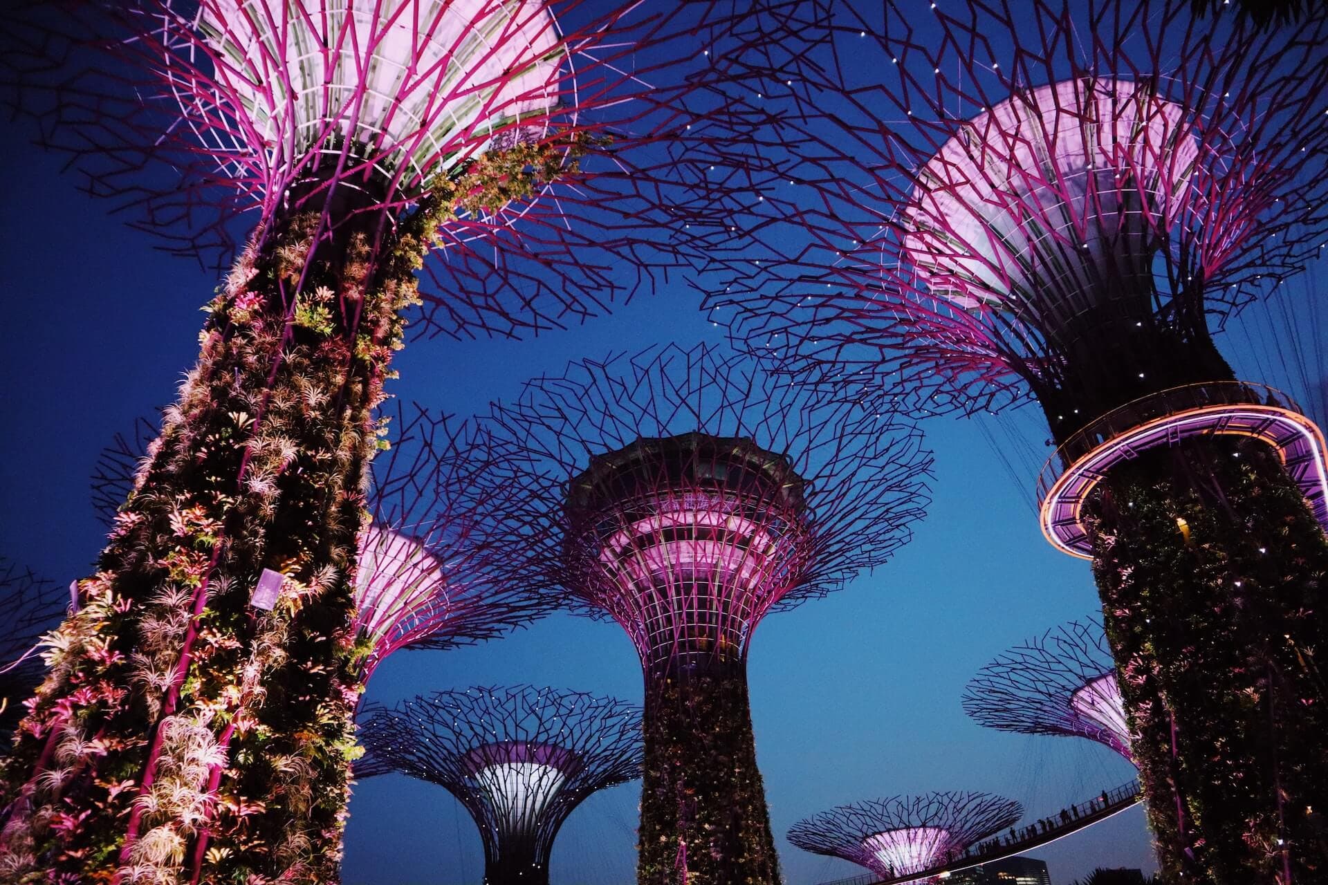 The illuminated Supertrees at Gardens by the Bay, Singapore, photographed at dusk on a long exposure.