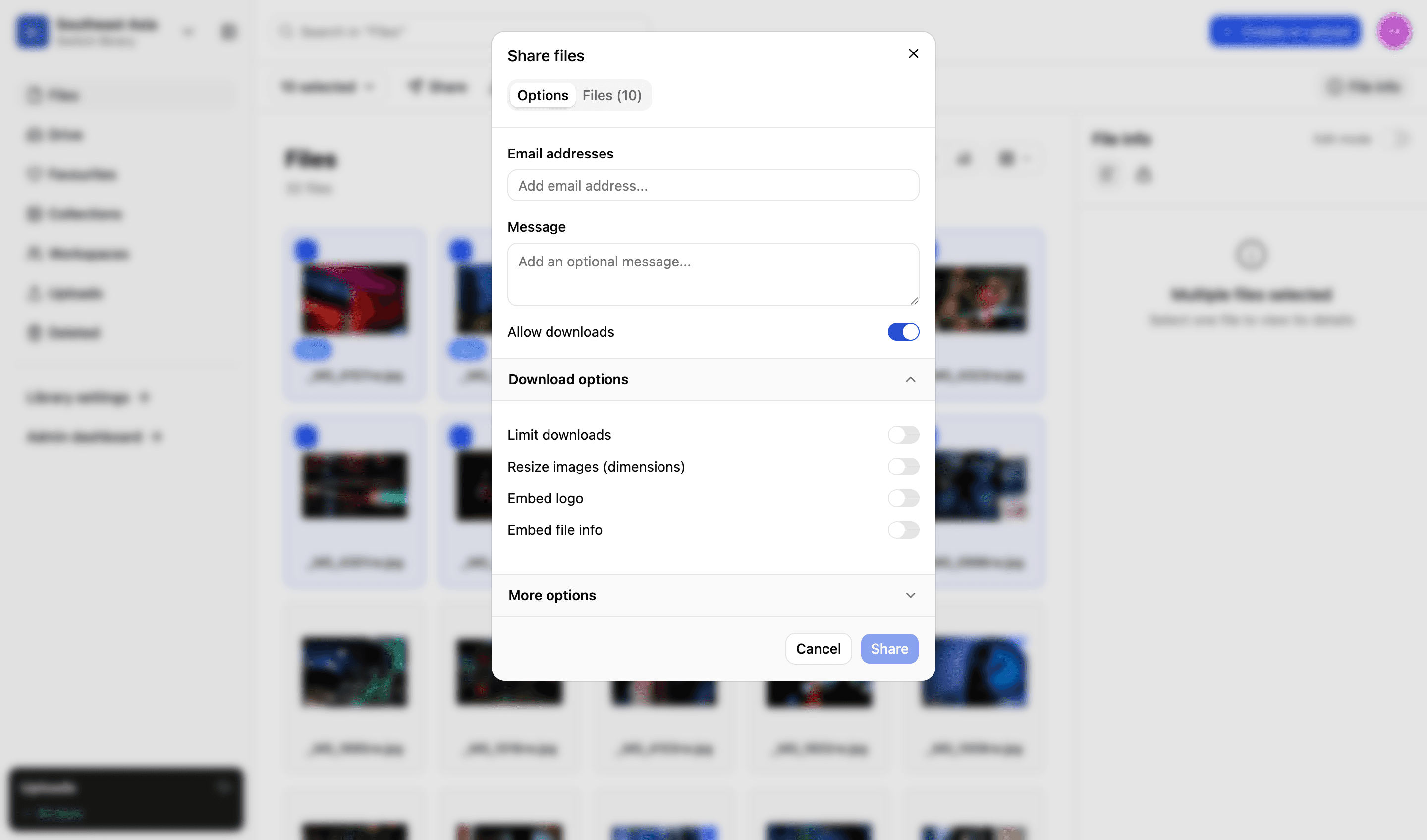 Sharing files from LightRocket: email addresses and a message, a toggle to allow downloads, and download options for limiting downloads, resizing images, embedding a logo and embedding file information