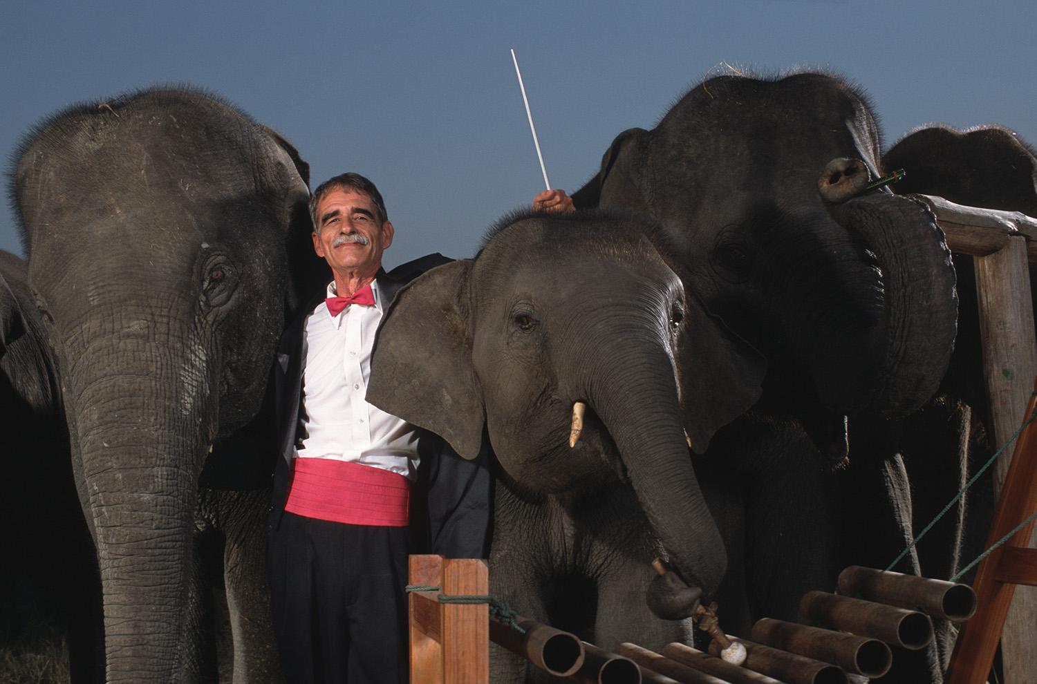 Richard Lair conducts the Thai Elephant Orchestra. Since the ban on logging in Thailand took effect more than a decade ago, most of the domesticated elephants are now unemployed. The Thai Elephant Conservation Center (TECC) has taken to providing alternative employment. Elephant treks, elephant painting, elephant shows and the Elephant Orchestra.