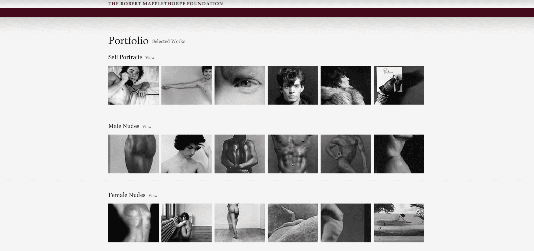 Robert Mapplethorpe foundation website