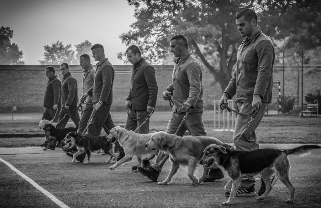 Prisioners working with dogs. Photo by Ana Batricevic