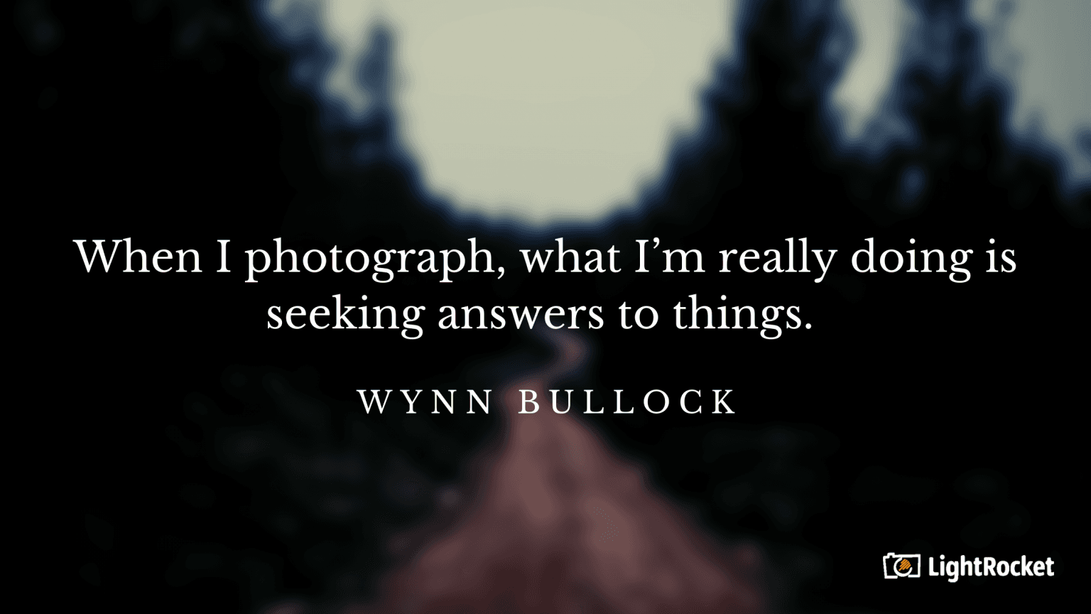 “When I photograph, what I’m really doing is seeking answers to things.” – Wynn Bullock
