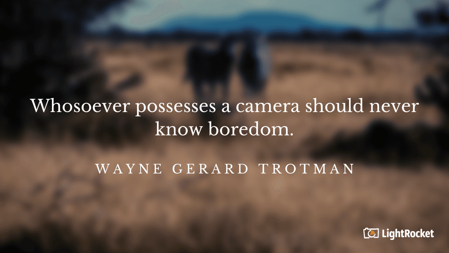 “Whosoever possesses a camera should never know boredom.” – Wayne Gerard Trotman