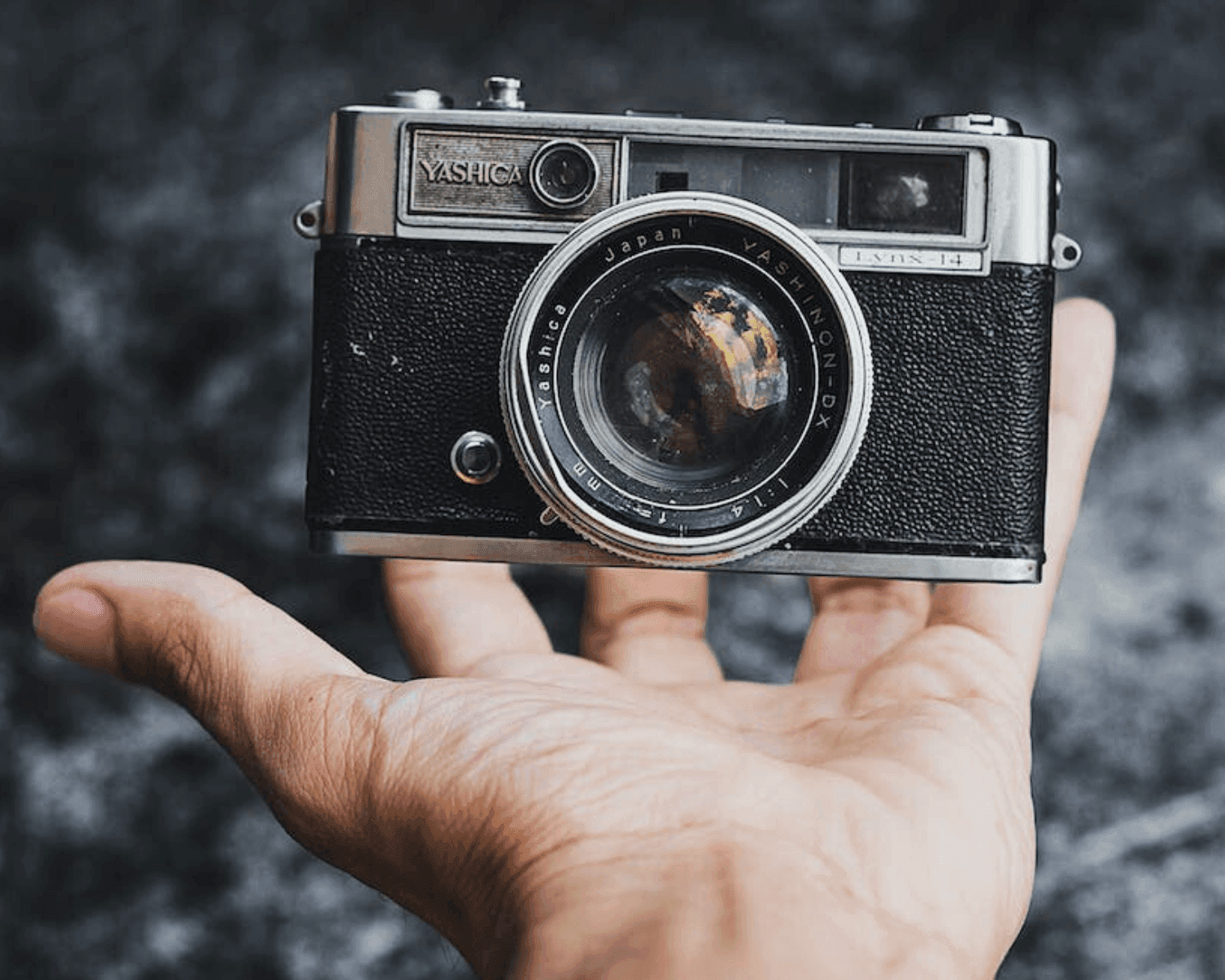 Breathing New Life into Vintage Cameras with I’m Back Film