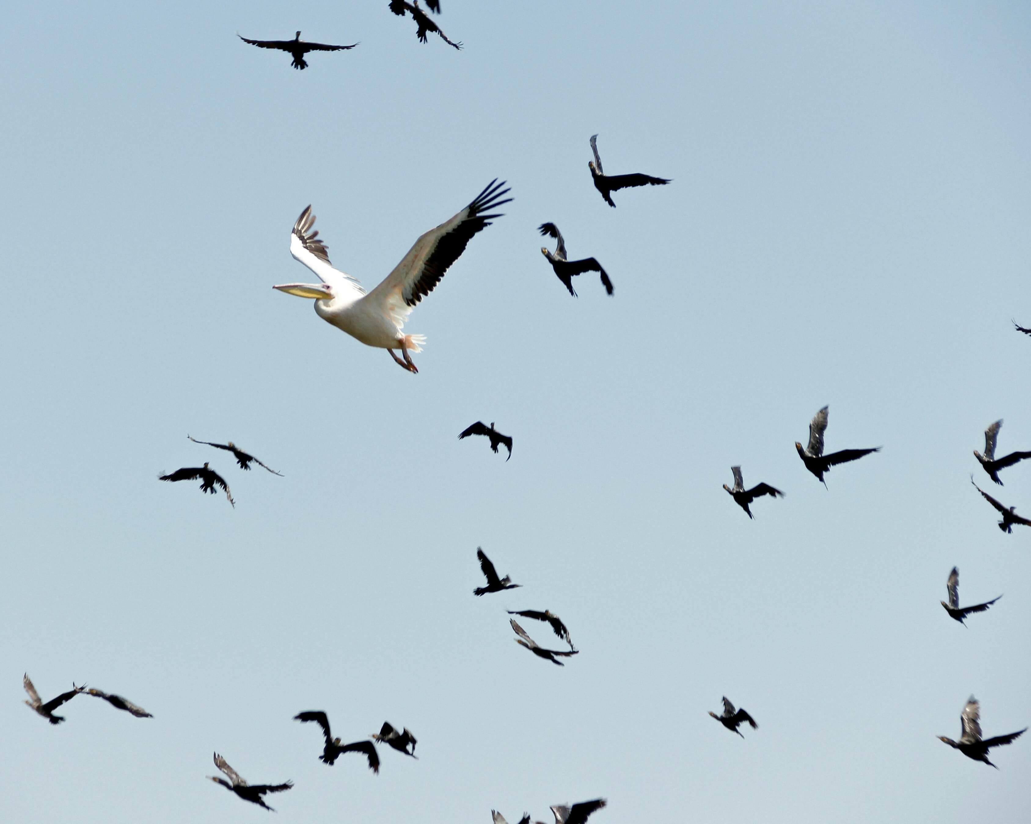 Busting the DAM Migration Myth in Three Easy Steps