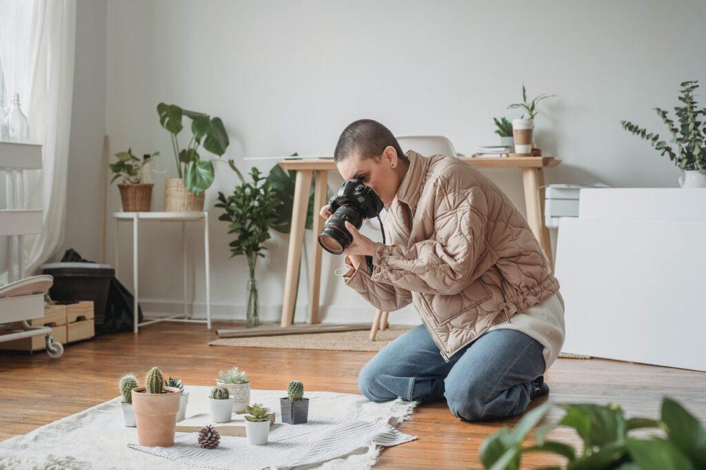 Person photographing cactus plants