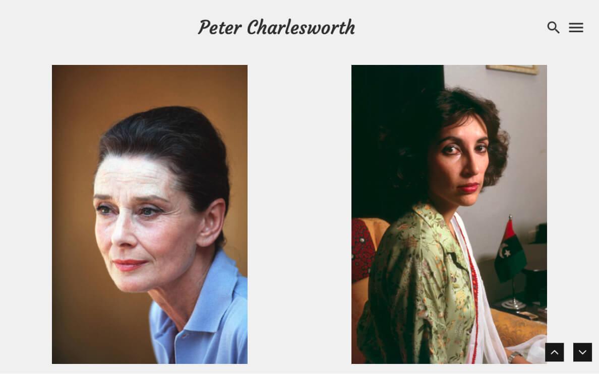 Preview of Peter Charlesworth template