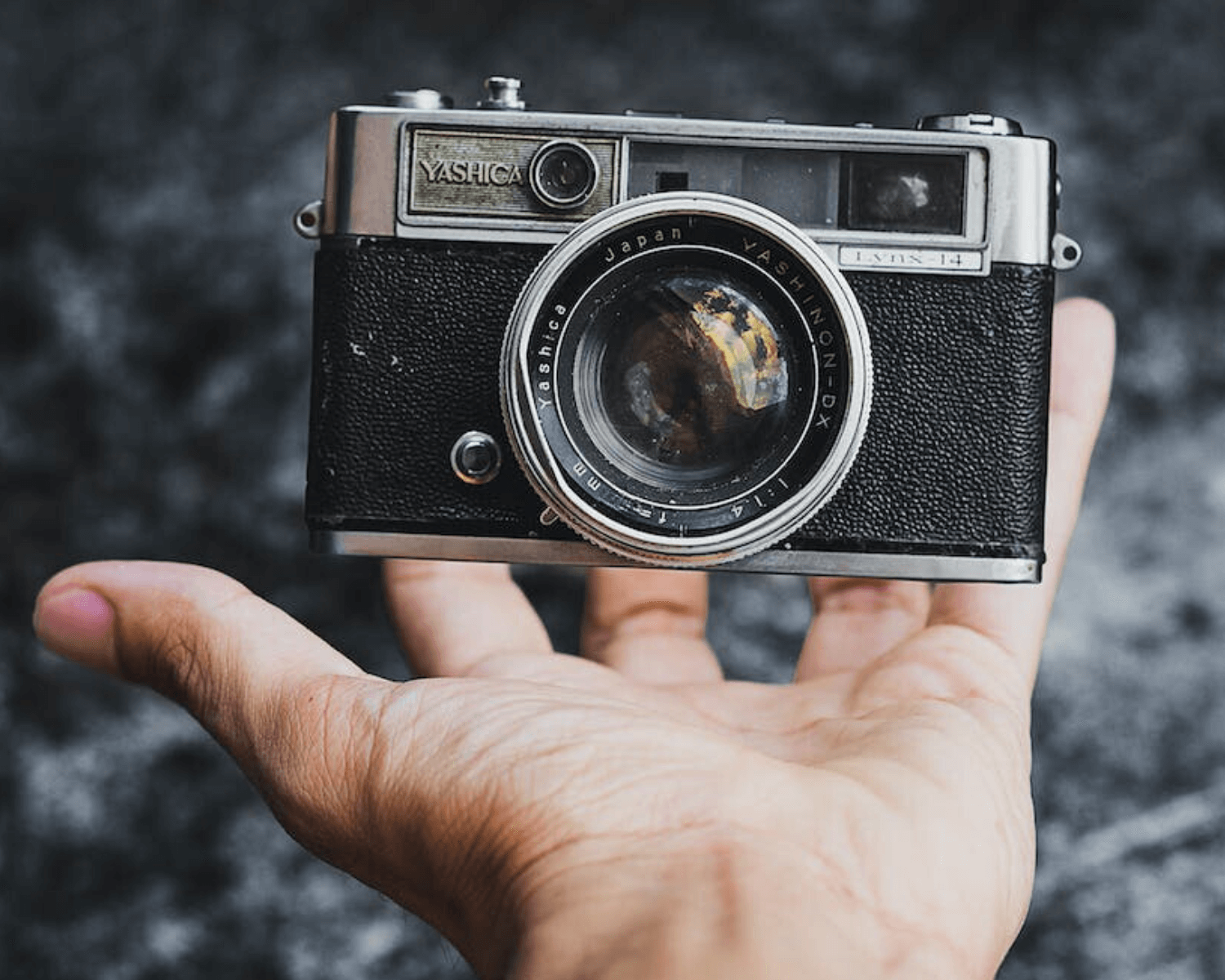 New film hot sale cameras